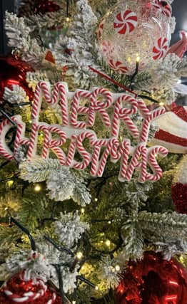 The countdown is on! Light up your Christmas with Hemel Hempstead Garden Centre
