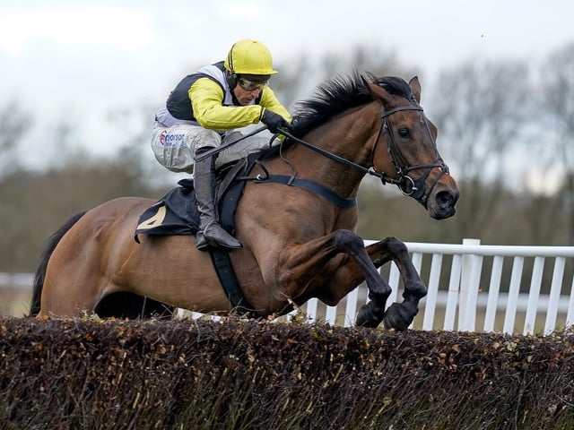 The Skelton brothers, trainer Dan and jockey Harry, took the fight to the Irish at the Cheltenham Festival with four winners. Can he also upset the applecart with this 8yo mare, who looked a top-class prospect when bolting up in a Grade Two chase at Warwick last season. She hasn't really built on that since, but will relish both the 4m2f trip and the probable Soft going at Aintree.