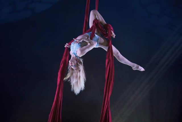 Aerialist