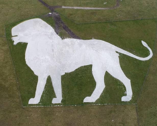 The Whipsnade lion from the air