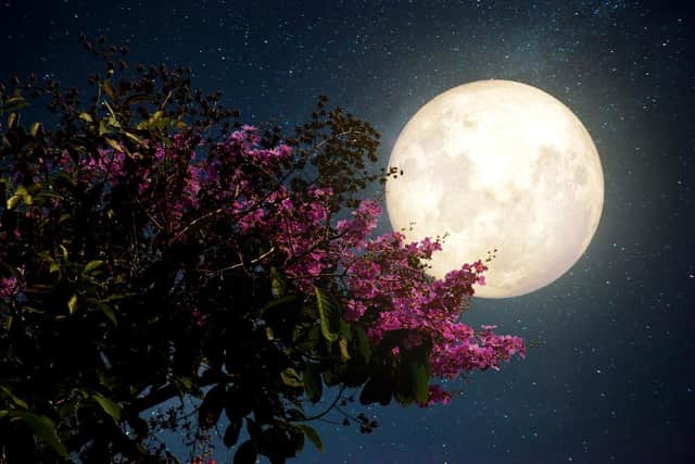 Easter is determined by the cycles of the moon. Picture: Shutterstock