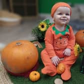 The Lime Grove pumpkin patch