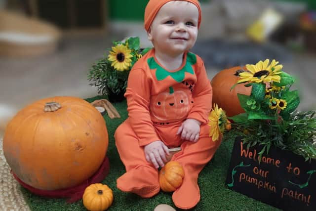 The Lime Grove pumpkin patch