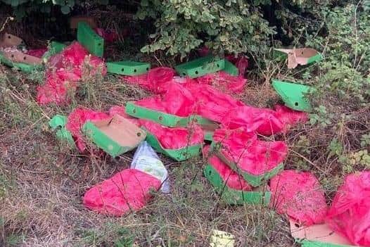 The chicken was packaged in red plastic and green cardboard trays