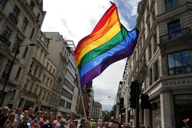 Pictured: Rainbow flag waved at a Pride event