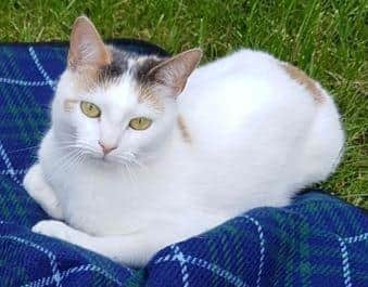 Sookie