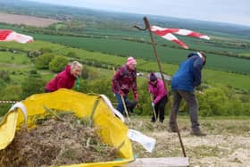 Volunteers hard at work on Dunstable Downs