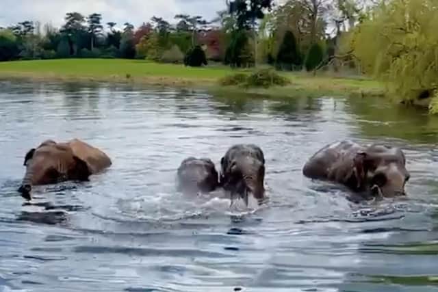 The ladies enjoying a dip