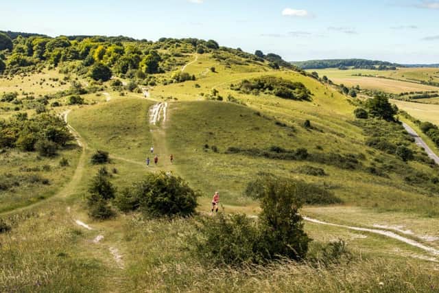 National Trust set to share update on its vision for Ashridge Estate