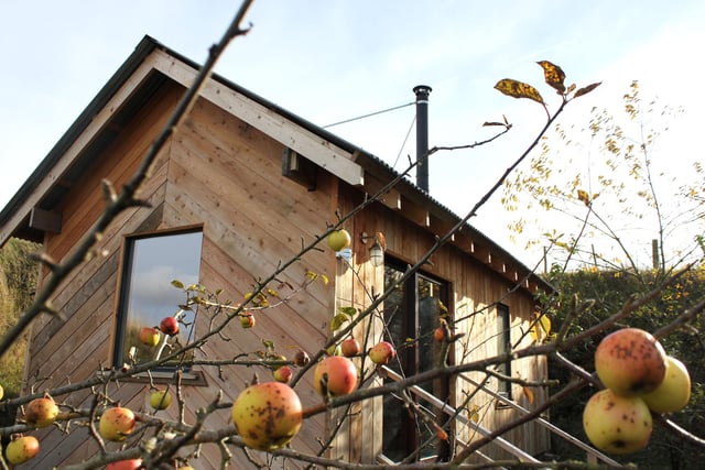 The cabin is surrounded by gently rustling wild apple and cherry trees which you're free to pick from.