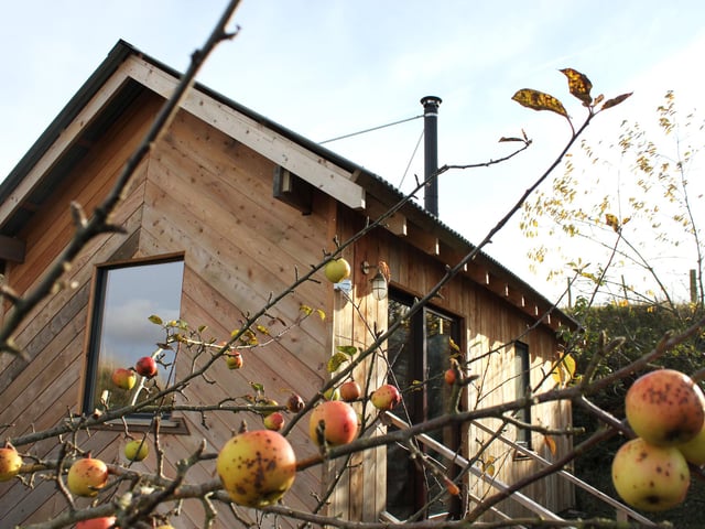 The cabin is surrounded by gently rustling wild apple and cherry trees which you're free to pick from.