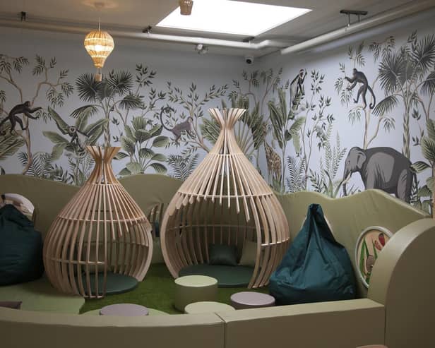 Pictured: Indoor soft play area decorated with jungle wallpaper.