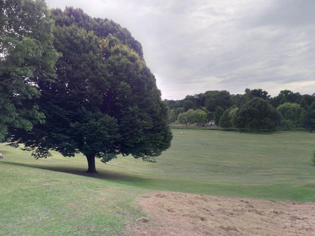 Have some fun in the fresh air at Gadebridge Park. Kids can play on a host of features at the park, including climbing frames, slides, sand pit swings and balance beams. 
For all ages