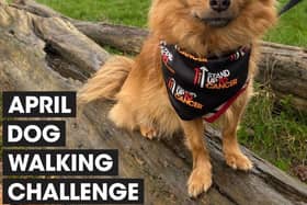 Join the pack: Hertfordshire dog owners are being urged to walk 60 miles with their four-legged friends over the course of April to raise money for Stand Up To Cancer’s life-saving research. Sign up now at su2c.org.uk/walkies