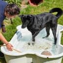 The charity’s advice comes as the Met Office predicts temperatures of up to 32°C (90°F) this week.