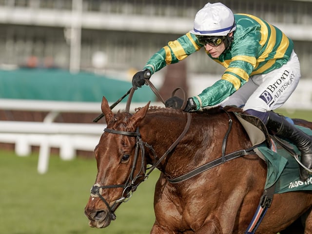 Master trainer Willie Mullins and patriarchal owner JP McManus combine to send out this high-class 8yo chaser, who won a Grade One as a novice and landed a big prize at Cheltenham in January before performing with credit at the Festival there. Went well for a long way in the National 12 months ago before weakening from the second last fence.