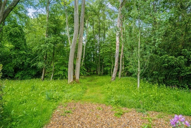 Towards the end of the garden is an area of woodland which is a haven for wildlife.