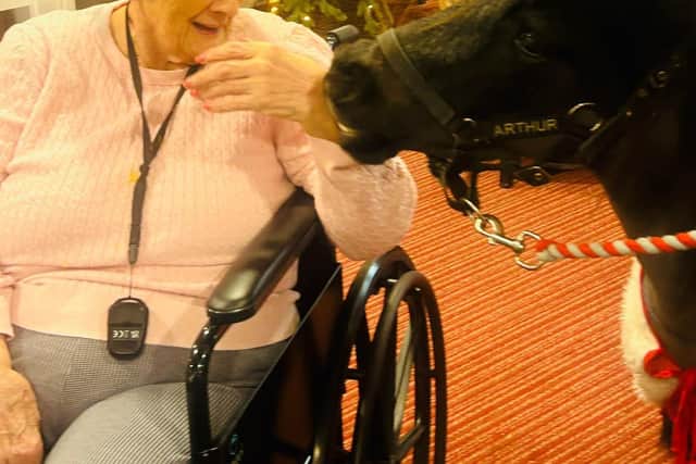 Joan and Pixie and Pickles Pet therapy