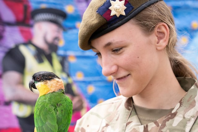 Hemel Hempstead cadets came out in force to honour Armed Forces Day.