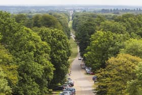 The top of Monument Drive lies at the heart of the Specialist Conservation Area. ©National Trust Images/Chris Lacey