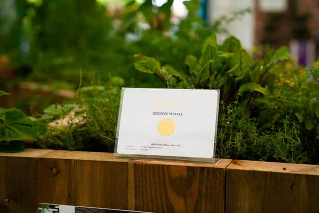 The schools took an accessible sensory garden to RHS Chelsea Flower Show this week.