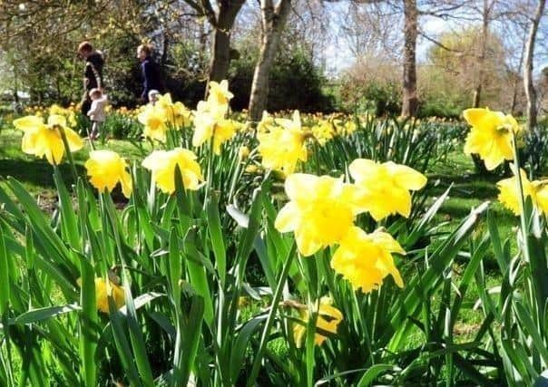 Above average temperatures are expected in Bucks this week