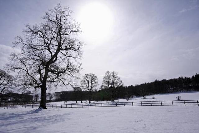 Odds: 5/2. Implied chance of snow on Christmas Day: 28.60%
