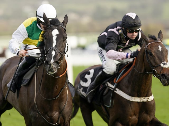 Talented but quirky 8yo who won the Irish Grand National last season on his first start for leading owner JP McManus, thanks largely to an inspired ride by jockey Paul Townend, who is on board again at Aintree. After a Grade One success on his reappearance this term, Willie Mullins's charge is a strong fancy, although his tendency to lazily get behind in his races and jump waywardly could prove costly.