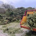 People are being encouraged to dispose of their Christmas tree responsibly so it can be turned into plant bedding