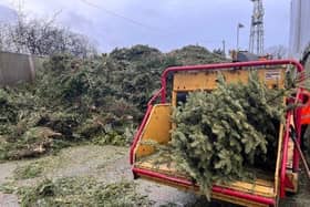 People are being encouraged to dispose of their Christmas tree responsibly so it can be turned into plant bedding