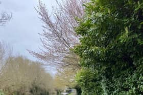 Grand Union Canal Towpath
