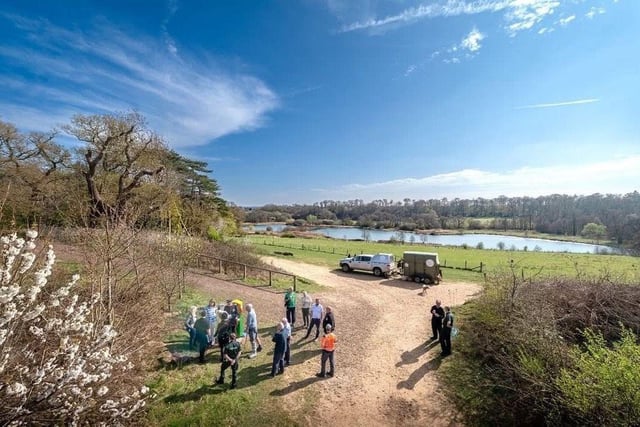 View of panshanger park