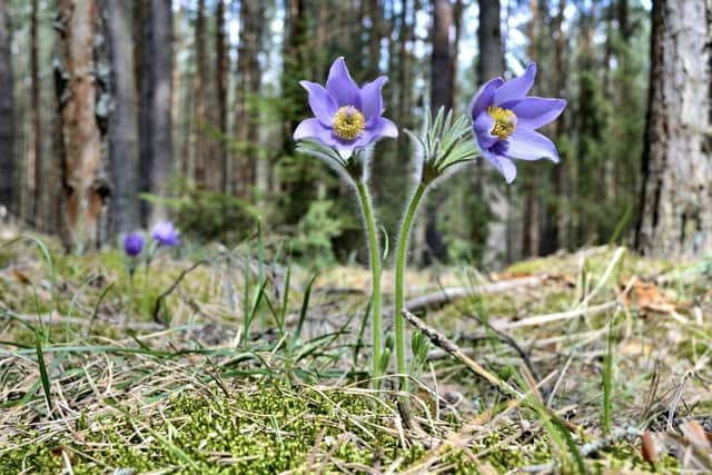Hertfordshire Nature Recovery Partnership.