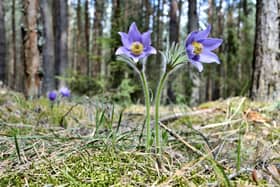 Hertfordshire Nature Recovery Partnership.