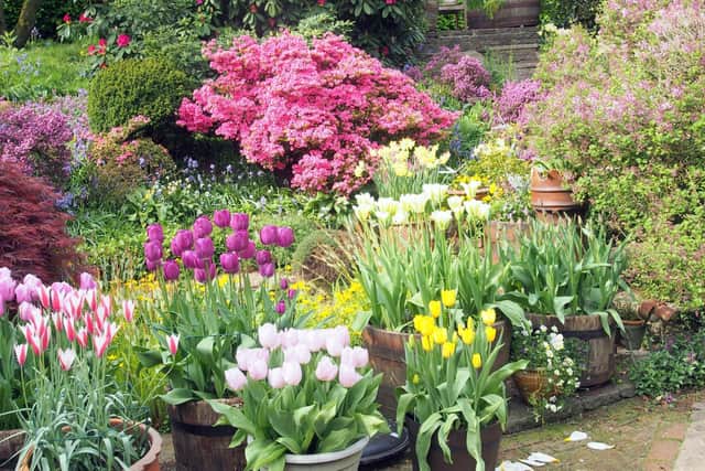 The unique and private garden at Patchwork will be open for charity on April 30 as part of the National Garden Scheme
