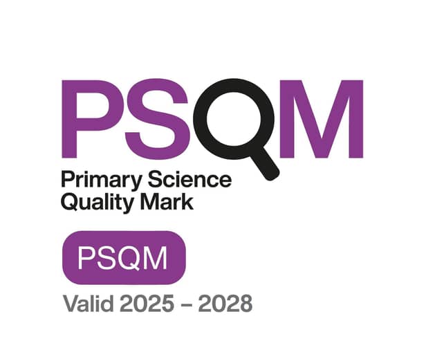 The Primary Science Quality Mark Award.