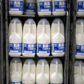 Milk