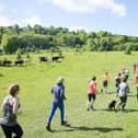 Since 2014, Tring Parkrun has been a staple in the community's weekly calendar.