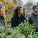 Young Carers learning new skills and interests at an urban kitchen garden project