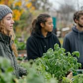Young Carers learning new skills and interests at an urban kitchen garden project