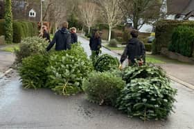 Xmas trees being collected by scouts in Berkhamsted