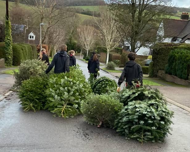 Xmas trees being collected by scouts in Berkhamsted