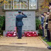 A member of the Armed Forces salutes after laying a Poppy Wreath. Photo: Kelvin Lister-Stuttard