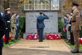 A member of the Armed Forces salutes after laying a Poppy Wreath. Photo: Kelvin Lister-Stuttard