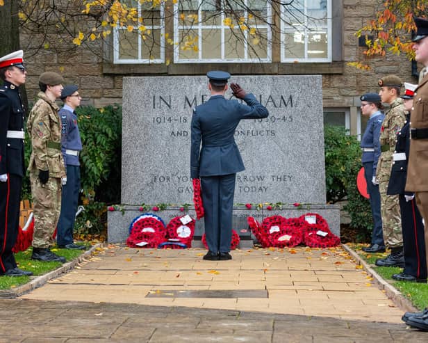 A member of the Armed Forces salutes after laying a Poppy Wreath. Photo: Kelvin Lister-Stuttard