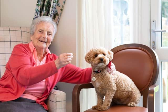 Joan Pinchin, resident at Snowdrop House, with Betsy, Canine Relations Manager.