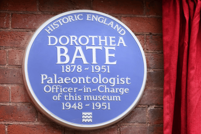 The plaque celebrating trailblazing scientist Dorothea Bate