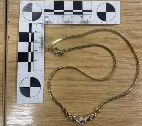 This item was allegedly stolen on Saturday