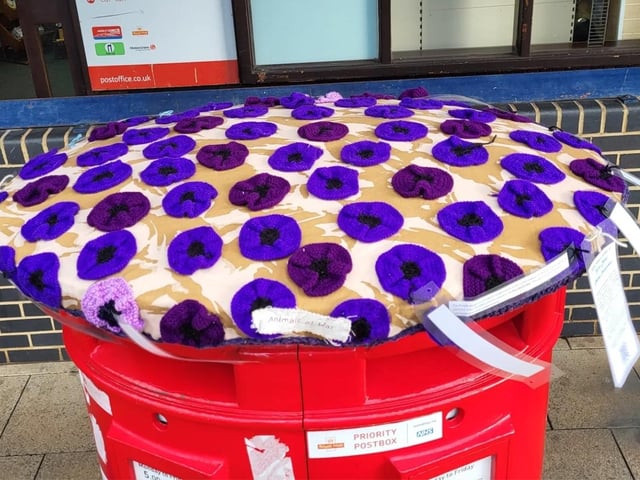 The purple poppy is a symbol of remembrance in the United Kingdom for animals that served during wartime. It pays tribute to animals lost in service, and to those who serve in the forces today.