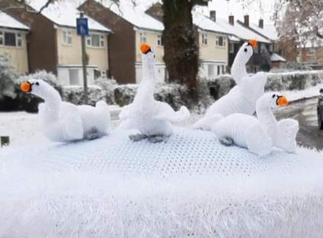 The swans can be found on Gadebridge Lane